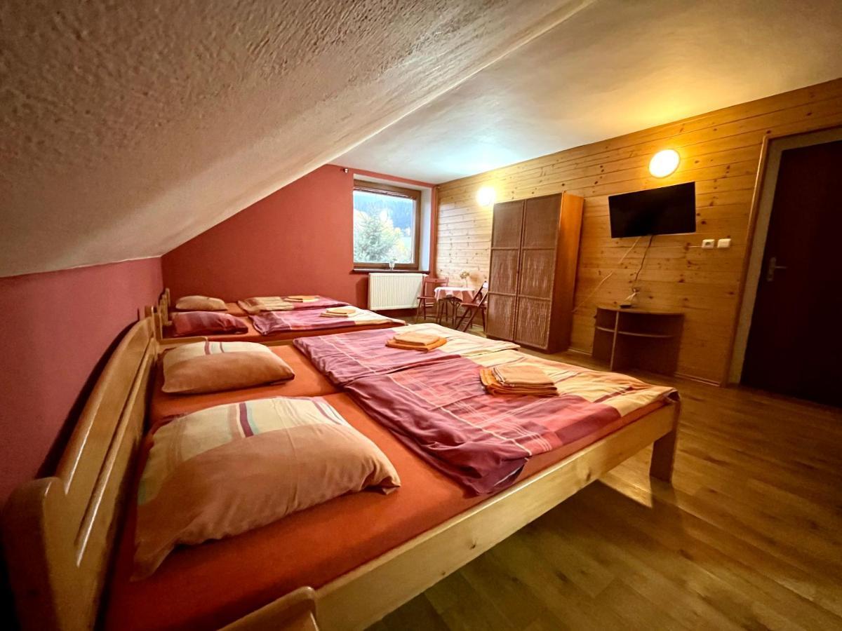 Hotel Penzion Horal à Dolní Morava Extérieur photo