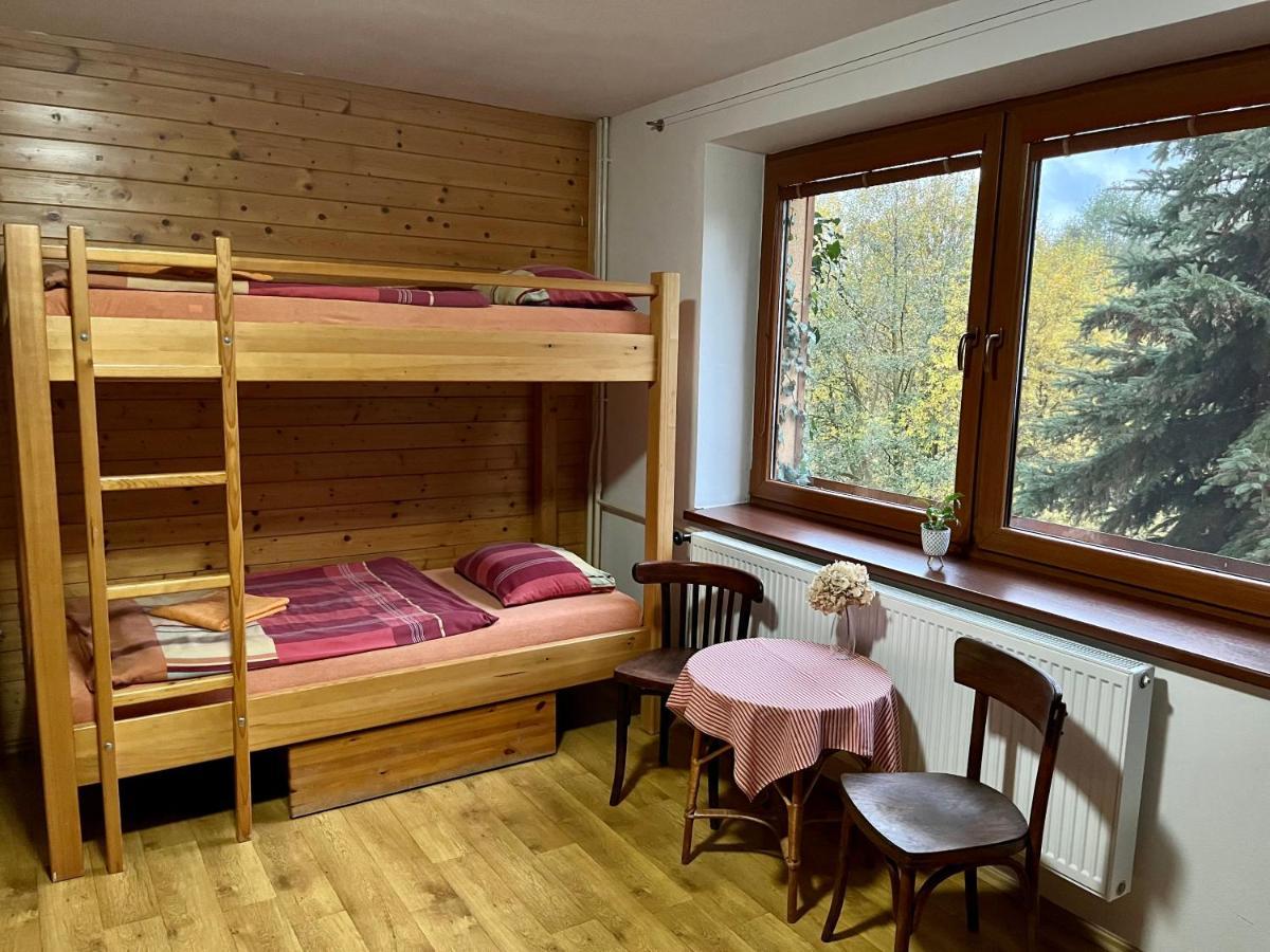 Hotel Penzion Horal à Dolní Morava Extérieur photo