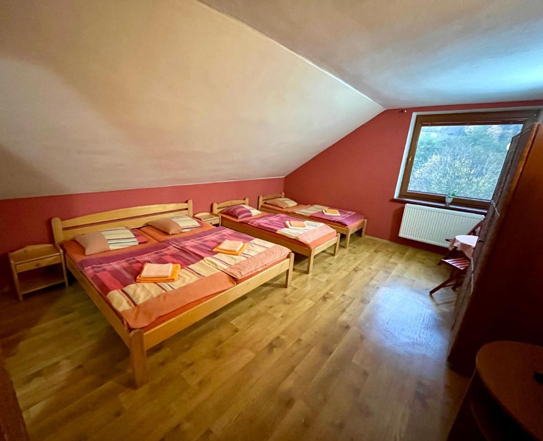 Hotel Penzion Horal à Dolní Morava Extérieur photo
