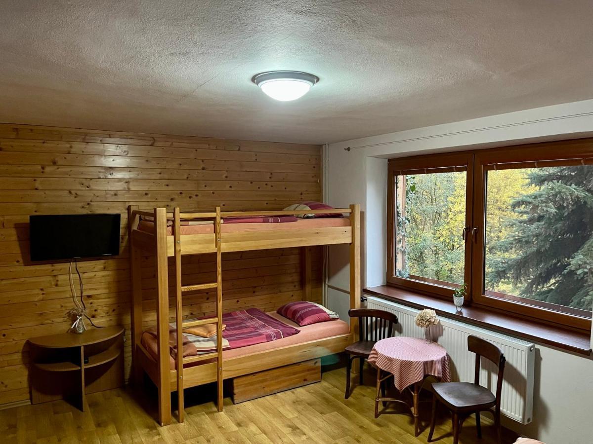 Hotel Penzion Horal à Dolní Morava Extérieur photo